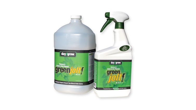 Green Jolt Bottles