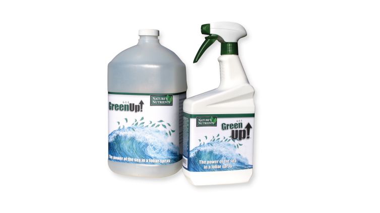 Green Up Bottles