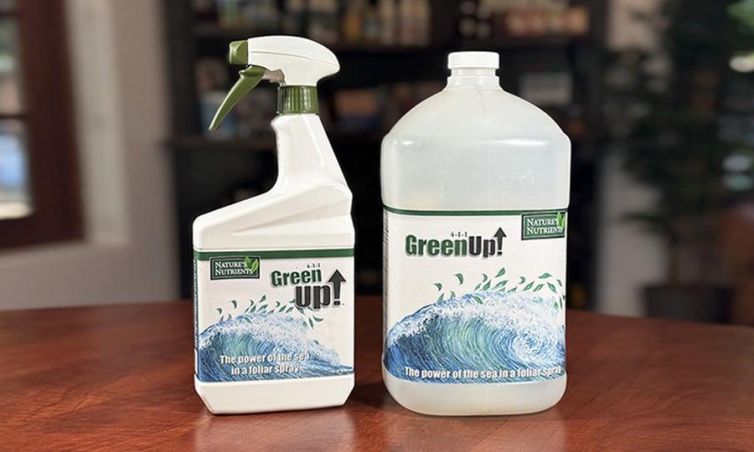 ID International Green Up